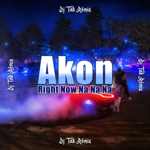 Right Now Na Na Na (DJ TAB Remix)