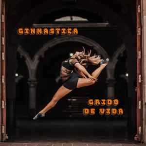 Ginnastica