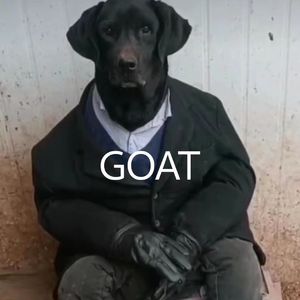 GOAT
