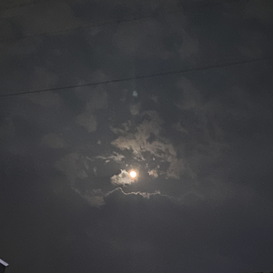 它好像在说话（纯音乐）