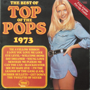 I'm The Leader Of The Gang (I Am)