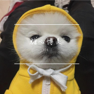 在这成功的道路上