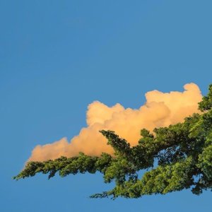 红色高跟鞋（吉他版）