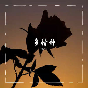 多情种