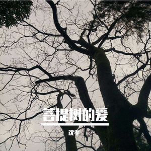 也许你不记得我