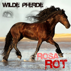 Wilde Pferde