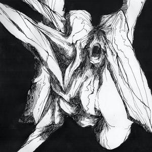 The Settings (At Home 2020)