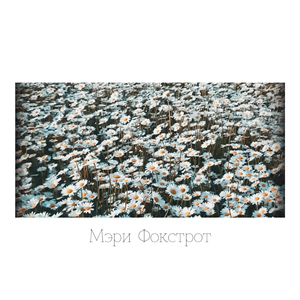 Мэри Фокстрот