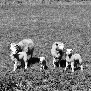 Sjelens mørke natt (feat. RnC)