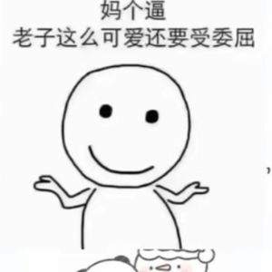 真我程序