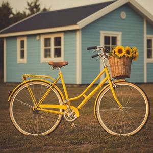 夏色自転車