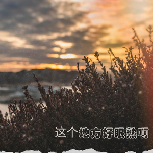 这个地方好眼熟啊