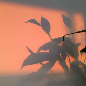 Mom（翻自 蜡笔小新）