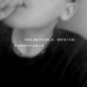 易碎装置（Vulnerable Device）