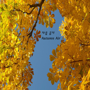 가을 공기