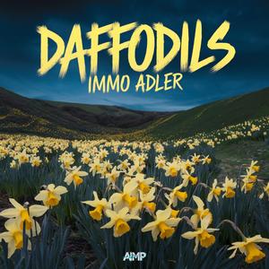 Daffodils