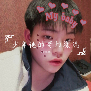 少年他的奇幻漂流