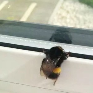 短暂交汇的星轨