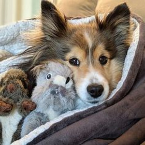 君中心に揺れる世界は (sped up)