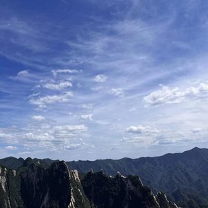 失忆(cover:图小图)