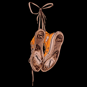 I Will Follow You into the Dark