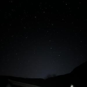 失语(Demo先行版)