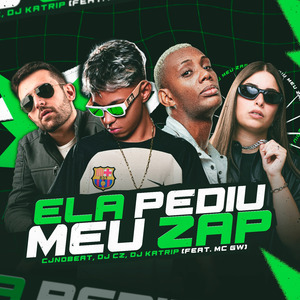 Ela Pediu Meu Zap (Arrochadeira Remix)