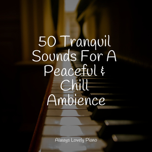 Schumann Fantasiestücke, Op. 12 I. Des Abends