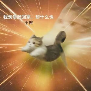 我不会唱歌，我只会说唱