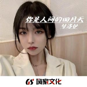 孤独的人总是晚回家（抖音DJ版）