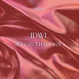 idwl (if i can't have you)