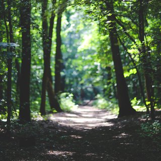 四季音色｜陪我一起经历春夏秋冬吧～