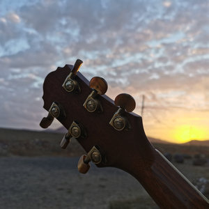 Reggae de la Desilusión