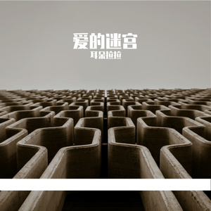 爱的迷宫