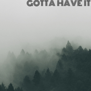 Gotta Have It DripDarula