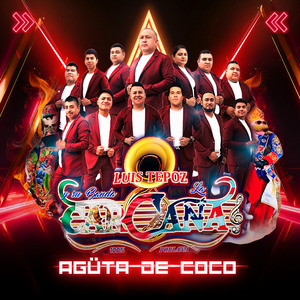 La Roncona