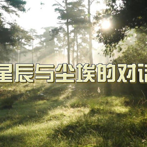 星辰与尘埃的对话