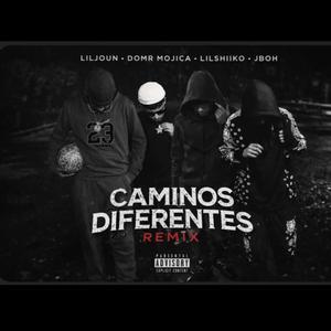 CAMINOS DIFERENTES