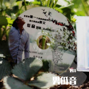 鲜花插在牛粪上 男低音