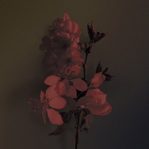 Поцеловать