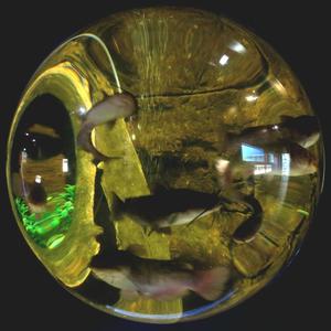 Et ole messias, Vaikka kuinka toivoisin