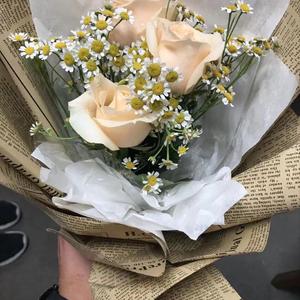 离开故乡的列车