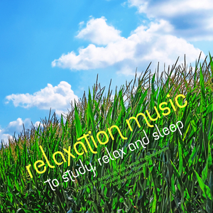 Transcendental Meditation