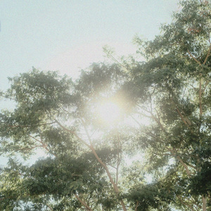 그 시절 나눈 대화는