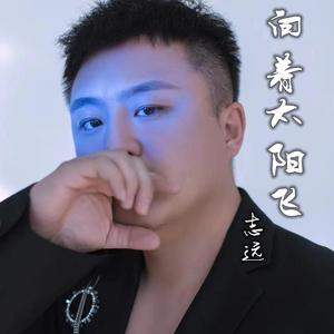 向着太阳飞