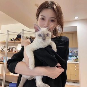 小清新(纯音乐)