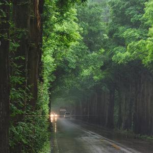 起风了（cover吴青峰）