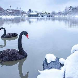 破晓（钢琴主旋律）