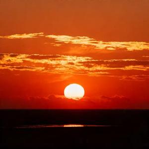 喝醉以后才明白 (Cover 王佳音)