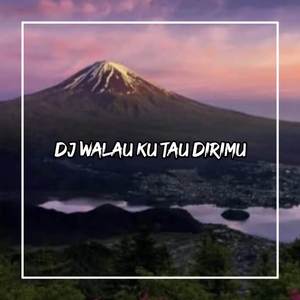 DJ Walau Ku Tau Dirimu Sudah Punya Istri Ceraikan Aja Bang Ada Aku Disini